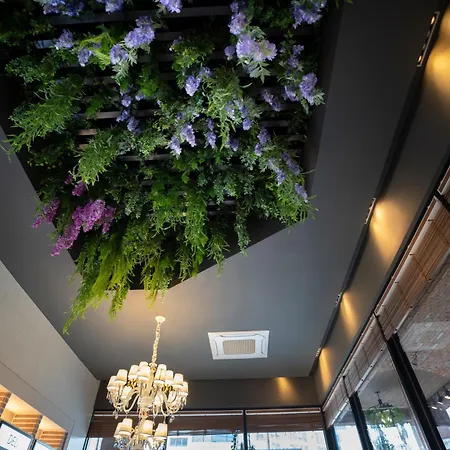 South Vandeco Hotel