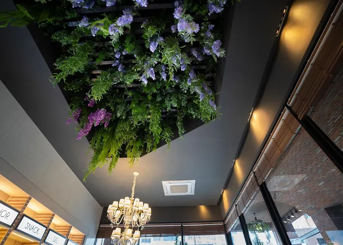 Hotel South Vandeco 2*
